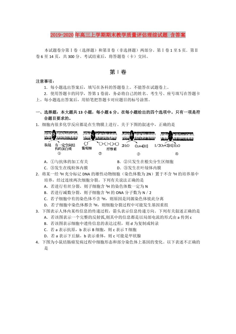 2019-2020年高三上学期期末教学质量评估理综试题 含答案.doc_第1页