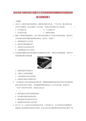 2019-2020年高中歷史 專題八 2 當(dāng)今世界經(jīng)濟(jì)區(qū)域集團(tuán)化的發(fā)展同步訓(xùn)練 人民版必修2.doc