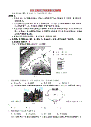 2019年高三上學(xué)期期中 文綜試題.doc