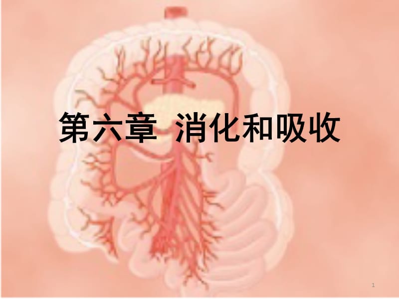 生理学消化和吸收人卫第八版临床本科ppt课件_第1页