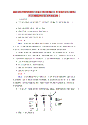 2019-2020年高考生物大一輪復(fù)習(xí) 第六章 第2、3節(jié) 細(xì)胞的分化、衰老、凋亡和癌變課時(shí)作業(yè) 新人教版必修1.doc