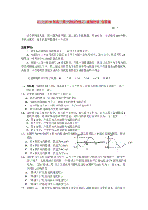 2019-2020年高三第一次綜合練習(xí) 理綜物理 含答案.doc