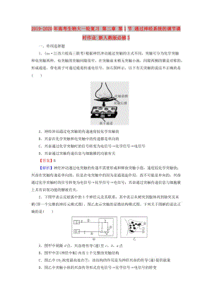 2019-2020年高考生物大一輪復(fù)習(xí) 第二章 第1節(jié) 通過(guò)神經(jīng)系統(tǒng)的調(diào)節(jié)課時(shí)作業(yè) 新人教版必修3.doc