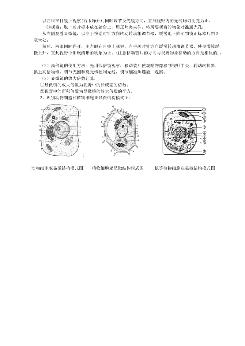 2019-2020年高中生物会考复习知识要点2 细胞的结构.doc_第3页