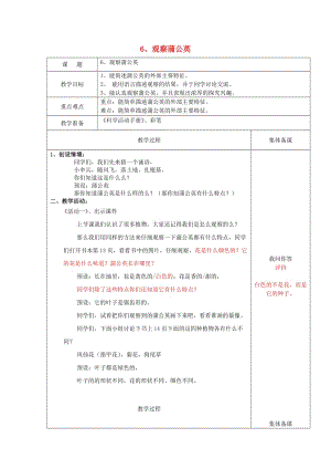 2019一年級科學(xué)上冊 第6課 觀察蒲公英教案 冀教版.doc