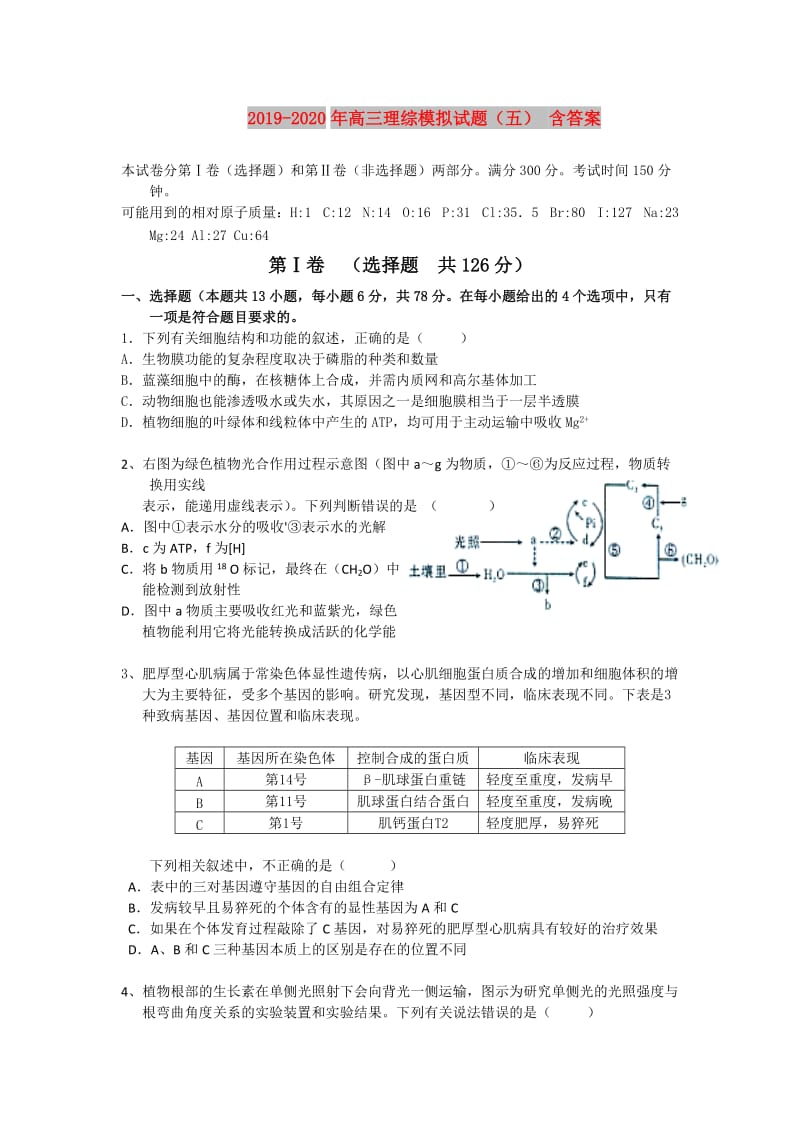 2019-2020年高三理综模拟试题（五） 含答案.doc_第1页