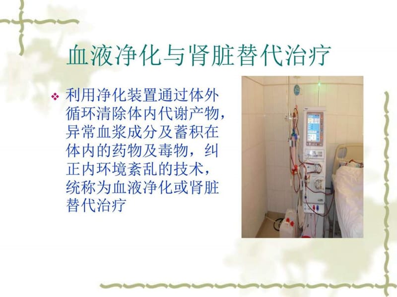 血液净化与肾脏替代治疗王芹芹.ppt_第2页