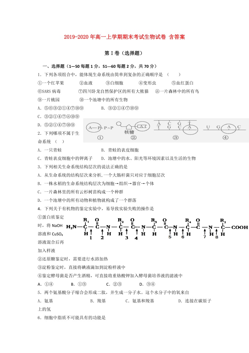 2019-2020年高一上学期期末考试生物试卷 含答案.doc_第1页