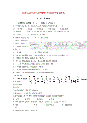 2019-2020年高一上學期期末考試生物試卷 含答案.doc