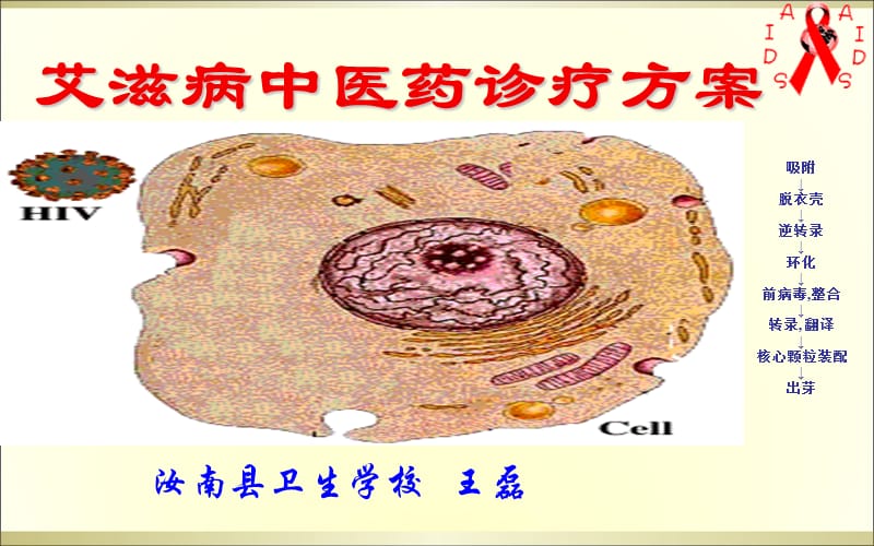 艾滋病中医药诊疗方案ppt课件.ppt_第2页