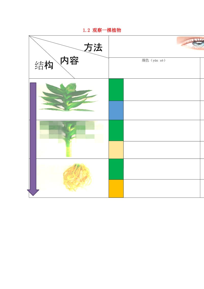 2019一年级科学上册1.2观察一棵植物眼睛组素材教科版.doc_第1页