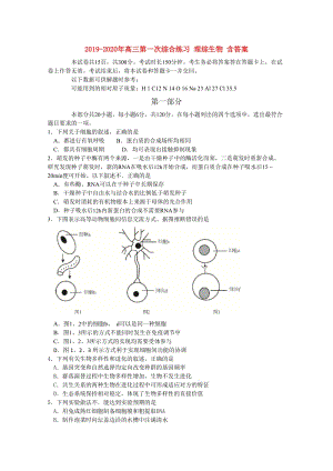 2019-2020年高三第一次綜合練習(xí) 理綜生物 含答案.doc