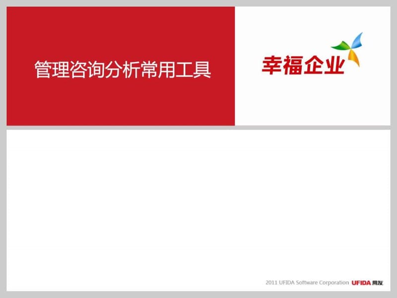 管理咨询分析常用工具.ppt_第1页