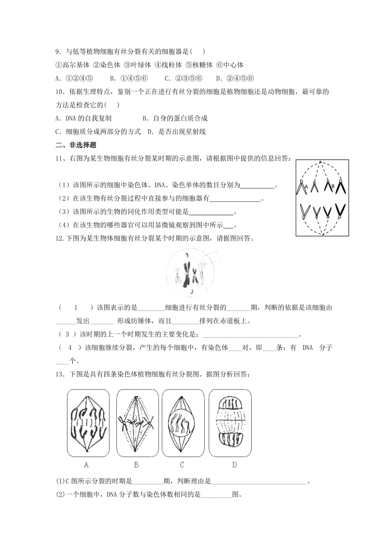 2019-2020年高中生物 5.1《细胞增殖》测试（2）苏教版必修1.doc_第2页