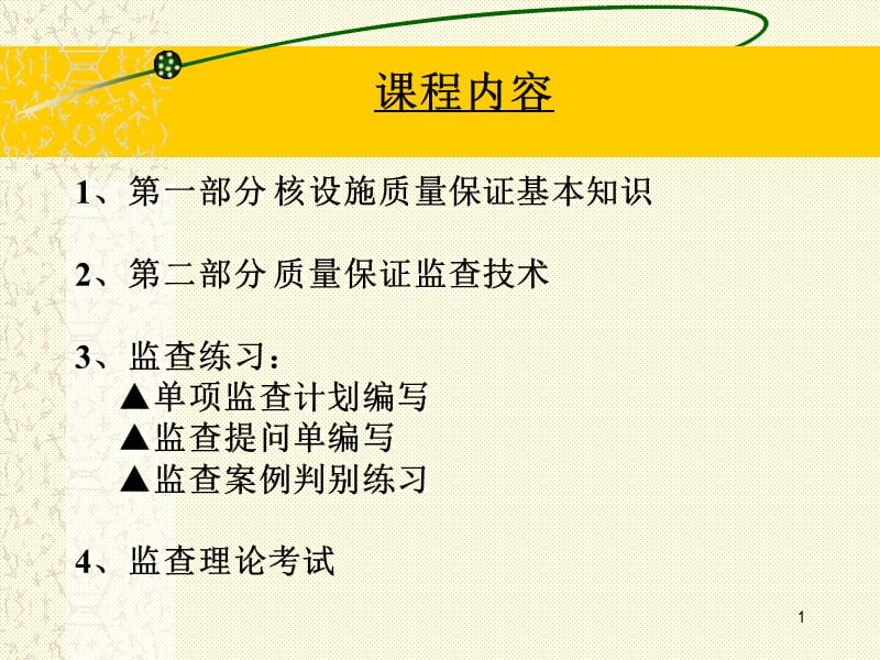 核电质量保证监查员培训教程.ppt_第1页