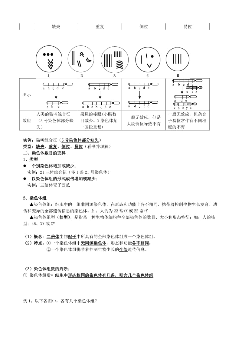 2019-2020年高考生物二轮专题复习 专题七 生物的变异与进化.doc_第3页