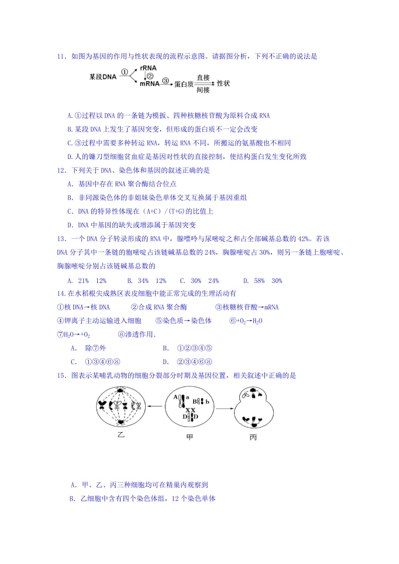 2019-2020年高三上学期生物一轮复习阶段测试试卷 Word版含答案.doc_第3页