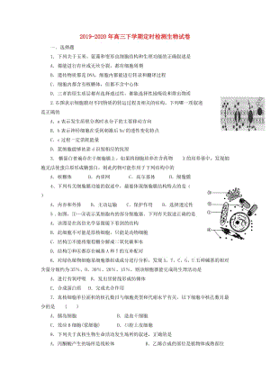 2019-2020年高三下學(xué)期定時(shí)檢測(cè)生物試卷.doc