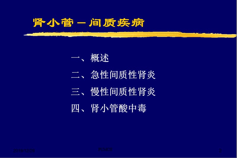 肾小管间质疾病PPT课件.ppt_第2页