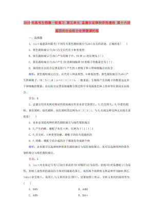 2019年高考生物微一輪復(fù)習(xí) 第五單元 孟德?tīng)柖珊桶樾赃z傳 第十六講 基因的自由組合定律微課時(shí)練.doc