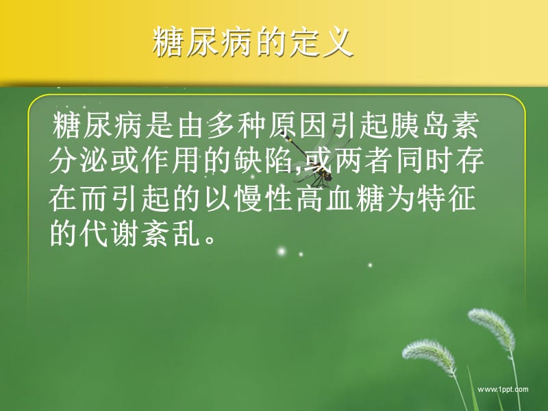 糖尿病患者的用药教育.ppt_第3页