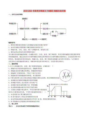 2019-2020年高考生物復(fù)習(xí) 專題四 細(xì)胞生命歷程.doc