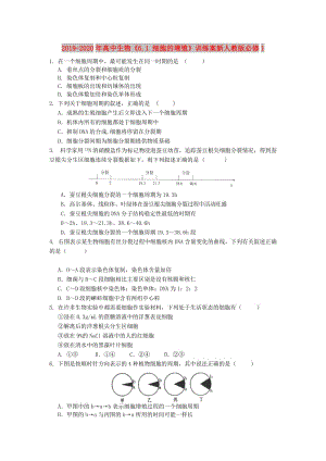 2019-2020年高中生物《6.1 細(xì)胞的增殖》訓(xùn)練案新人教版必修1.doc