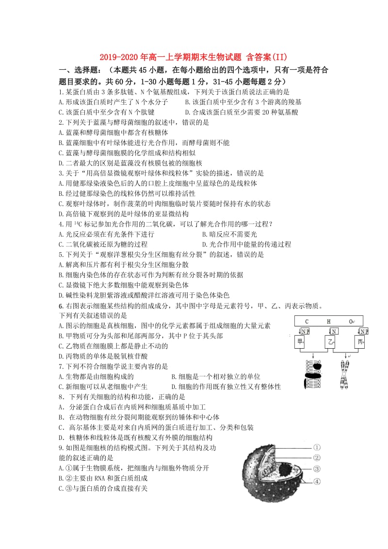 2019-2020年高一上学期期末生物试题 含答案(II).doc_第1页