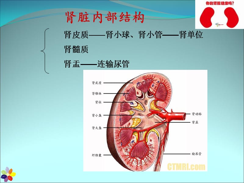 慢性肾衰竭的护理ppt课件.ppt_第3页