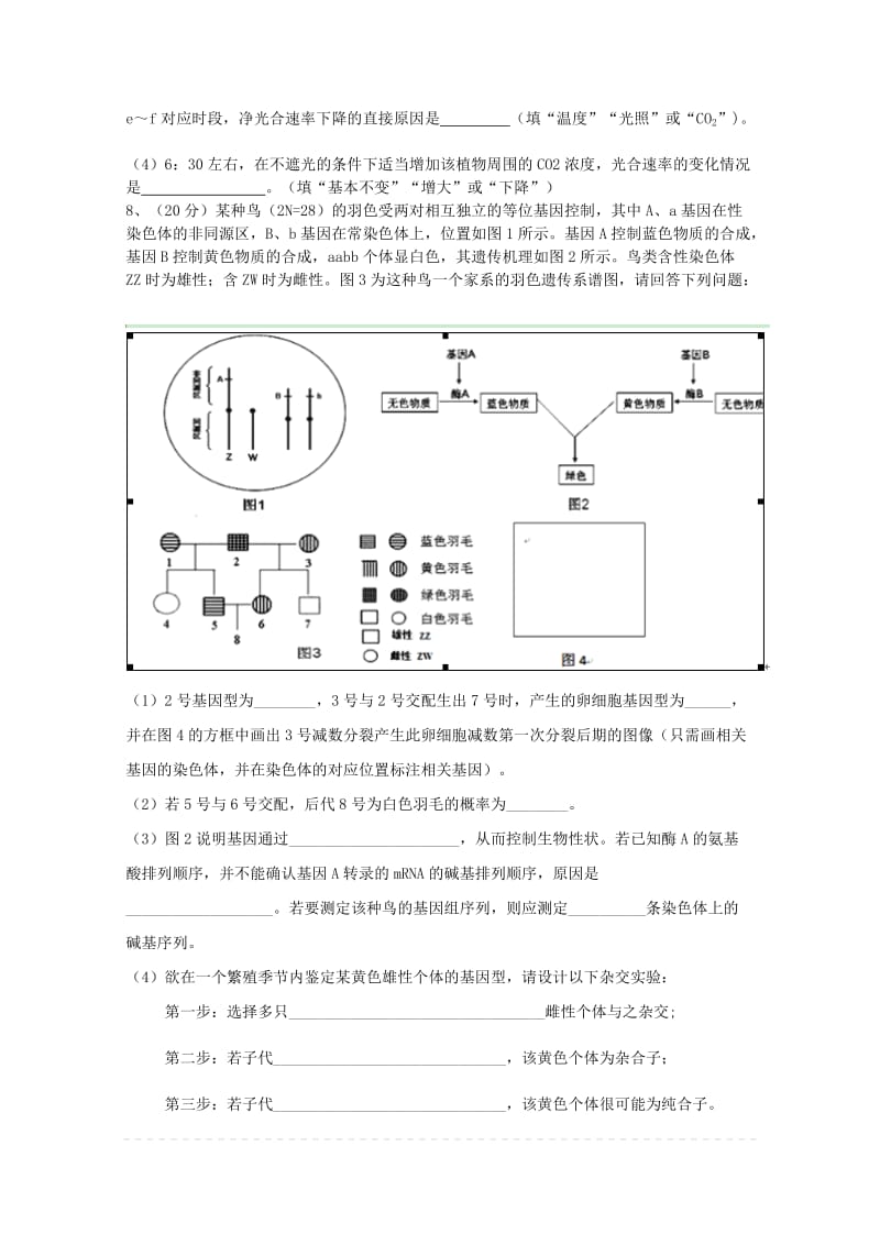 2019-2020年高三理综（生物部分）上学期第一次模拟考试试题.doc_第3页