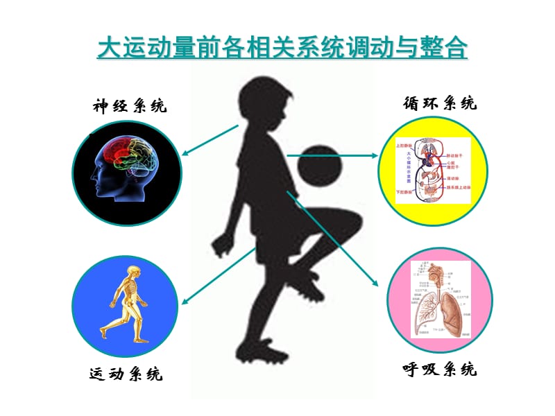 幼儿体育活动培训PPT课件.ppt_第2页