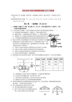 2019-2020年高三理綜模擬試題（三） 含答案.doc