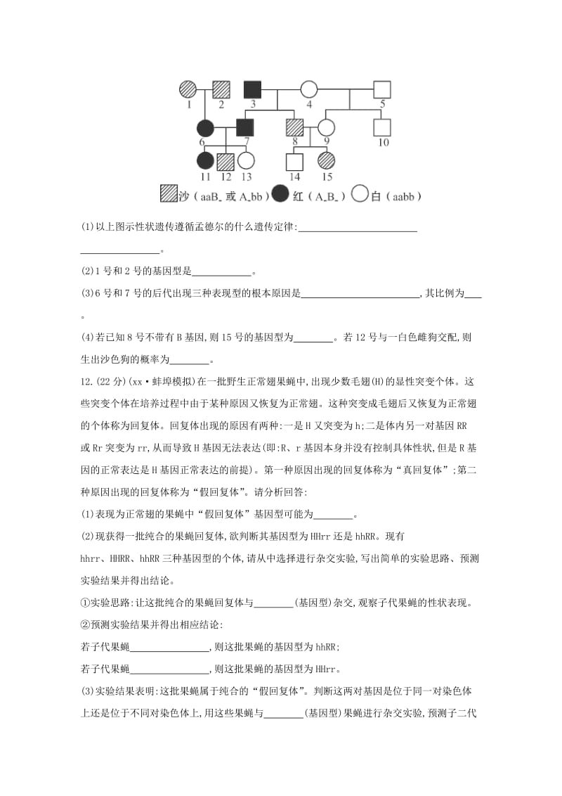 2019-2020年高三生物 孟德尔的豌豆杂交实验课时作业2.doc_第3页