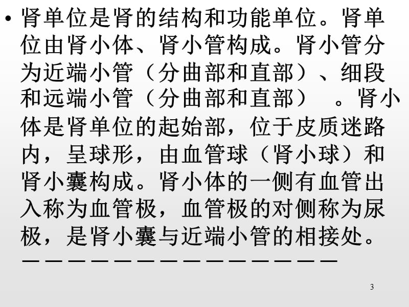 肾脏的组织学结构ppt课件_第3页