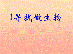 2019春五年級科學下冊 5.1《尋找微生物》課件1 大象版.ppt