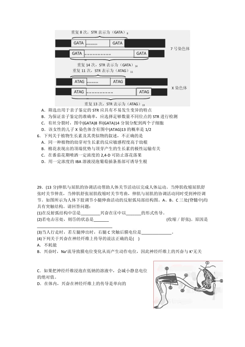 2019-2020年高二下学期期末测试理科综合生物试题 含答案.doc_第2页