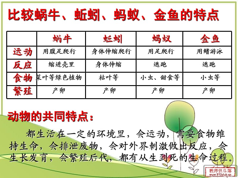 2019三年级科学上册我们和动物有哪些相同和不同课件4新人教版.ppt_第2页