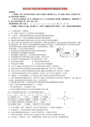 2019-2020年高三第九次模擬考試 理科綜合 含答案.doc