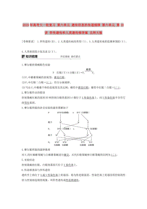 2019年高考大一輪復(fù)習(xí) 第六單元 遺傳信息的傳遞規(guī)律 第六單元 第19講 伴性遺傳和人類遺傳病學(xué)案 北師大版.doc