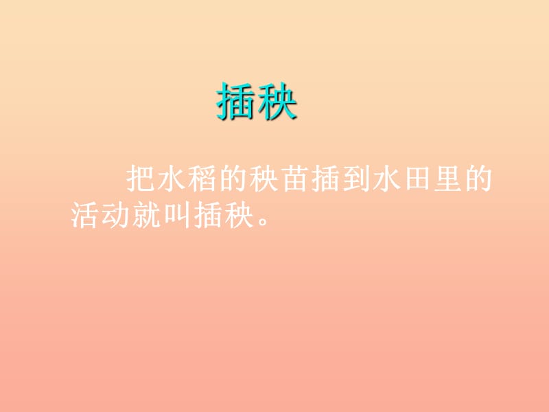 2019年秋季版一年级语文下册3.2插秧课件3北师大版.ppt_第2页