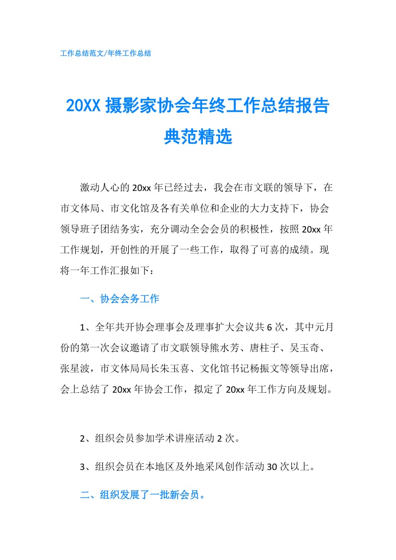 20XX摄影家协会年终工作总结报告典范精选.doc_第1页