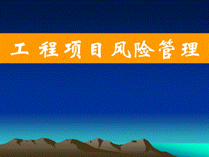 工程項(xiàng)目風(fēng)險(xiǎn)管理.ppt