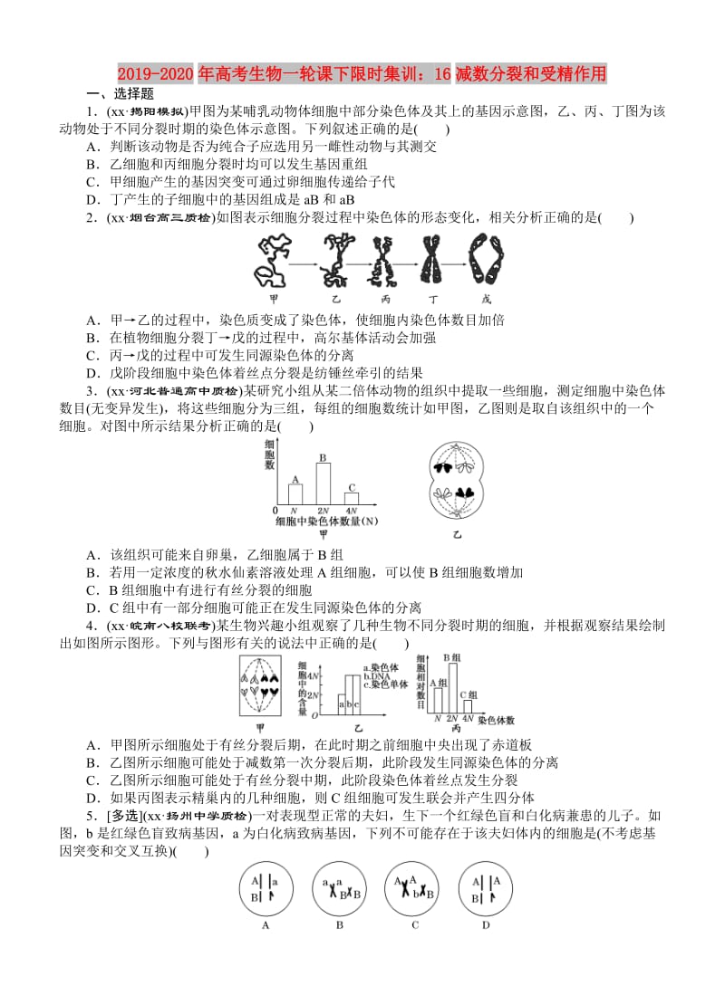 2019-2020年高考生物一轮课下限时集训：16减数分裂和受精作用.doc_第1页