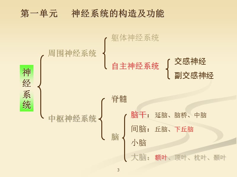 心理活动的生理基础ppt课件_第3页