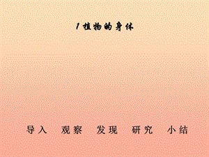 三年級科學下冊 二 植物的生長 3《植物的身體》課件2 新人教版.ppt