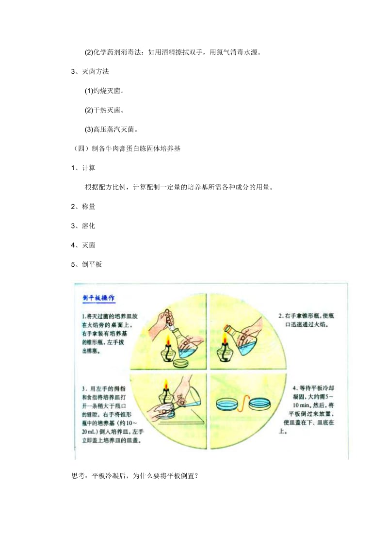 2019-2020年高中生物《微生物的培养与应用》教案1 苏教版选修1.doc_第2页