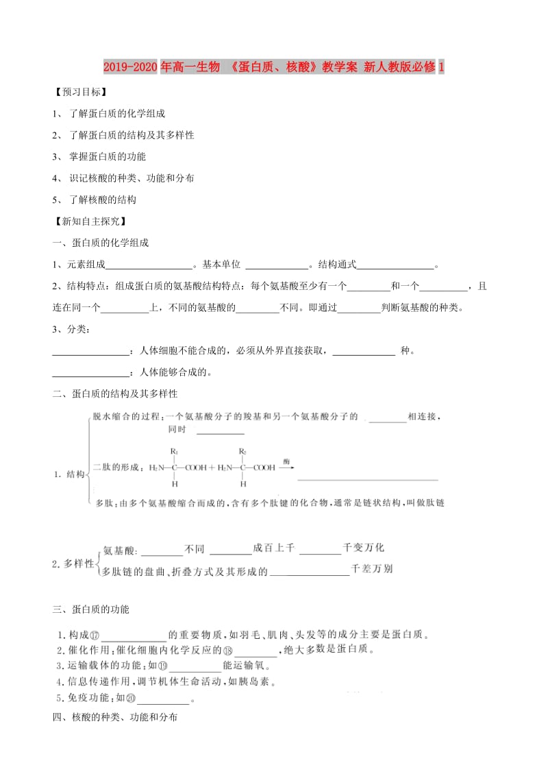 2019-2020年高一生物 《蛋白质、核酸》教学案 新人教版必修1.doc_第1页