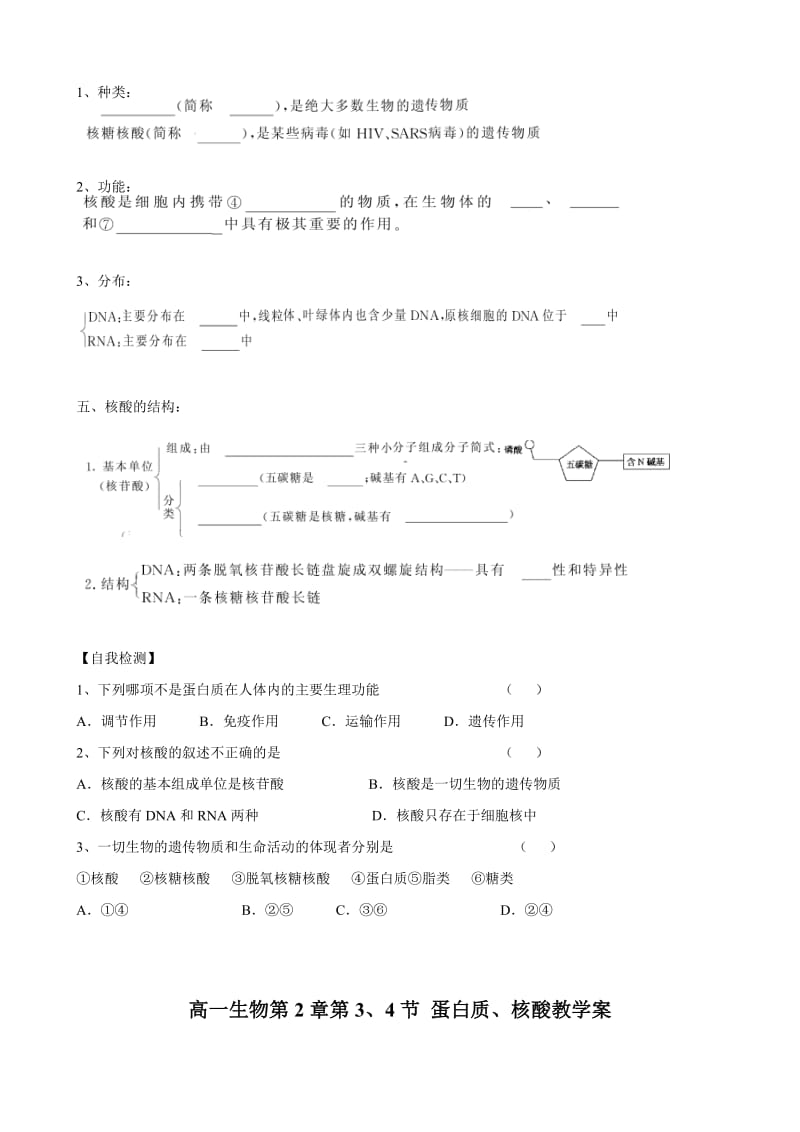 2019-2020年高一生物 《蛋白质、核酸》教学案 新人教版必修1.doc_第2页