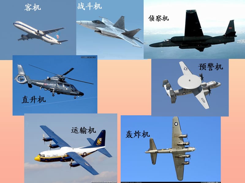 三年级语文上册第6单元19航天飞机课件苏教版.ppt_第1页