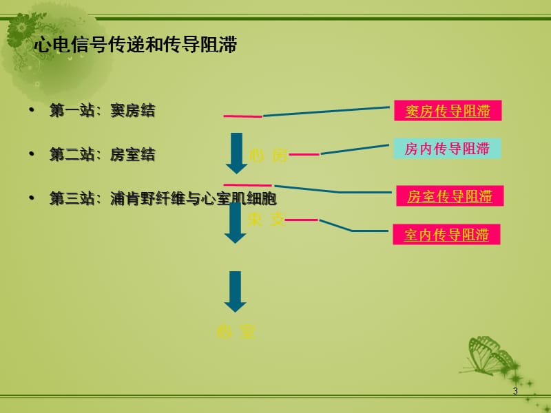 心电传导异常PPT课件_第3页